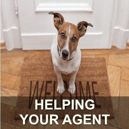 Help Your Agent