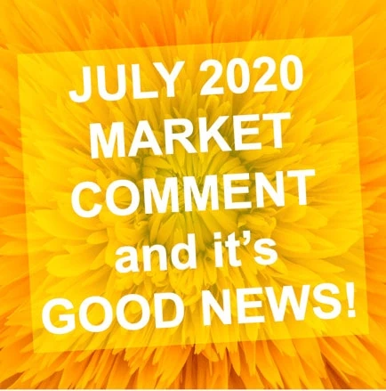 July 2020 Market Comment