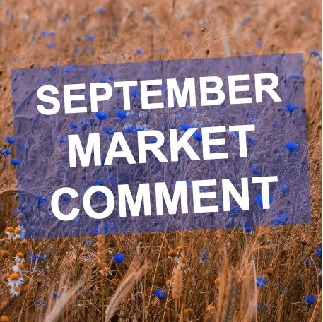 September 2020 Market Comment