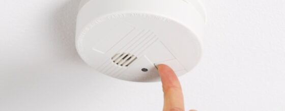 Landlord Safety Essentials: Smoke Alarms, CO Detectors & Electrical Checks 8