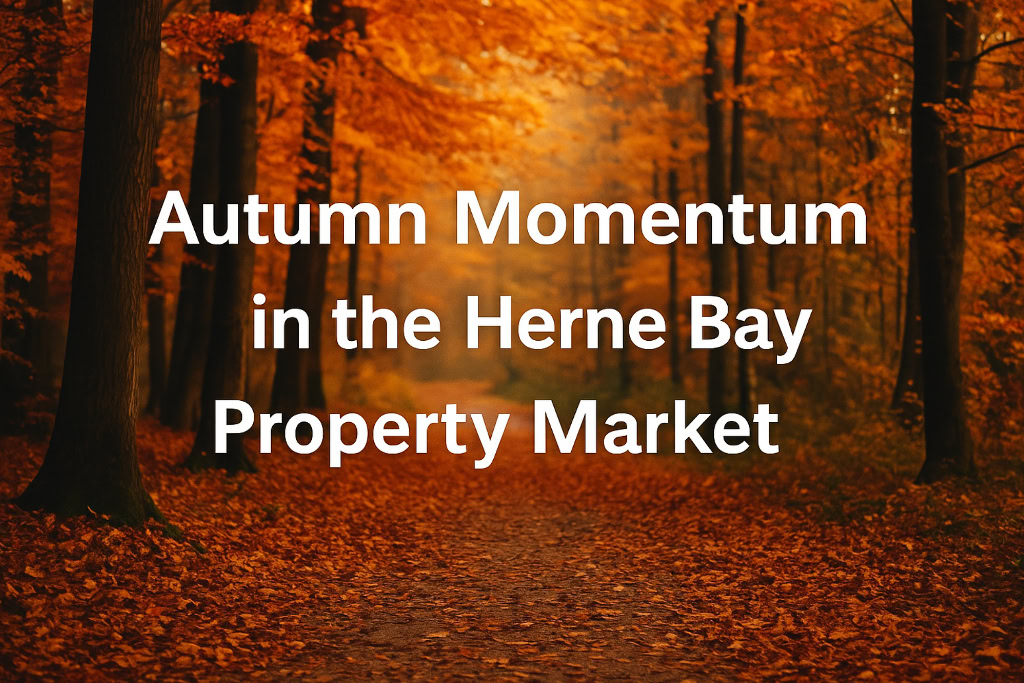 Autumn Momentum in the Herne Bay Property Market – Autumn woodland scene with golden leaves